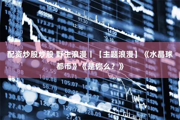 配资炒股炒股 野生浪漫丨【主题浪漫】《水晶球都市》《是你么？》