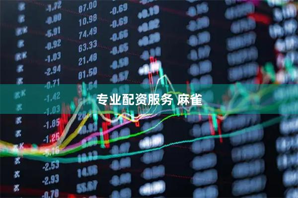 专业配资服务 麻雀