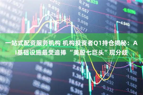 一站式配资服务机构 机构投资者Q1持仓揭秘：AI基础设施最受追捧 “美股七巨头”现分歧
